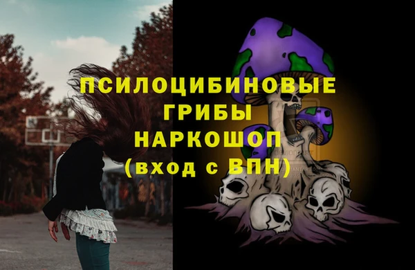 mdpv Архангельск
