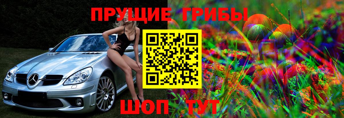 Таганрог  Галлюциногенные грибы Psilocybine cubensis  Вход с VPN 